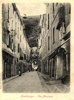 Nicotera 1903